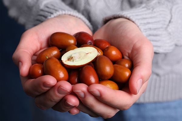 تصویر 1 از خرید عناب گلابی شکل + قیمت فروش استثنایی